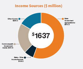 Finance Summary: Income Sources Graphic
