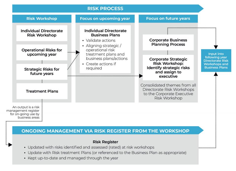 Risk Process Infographic