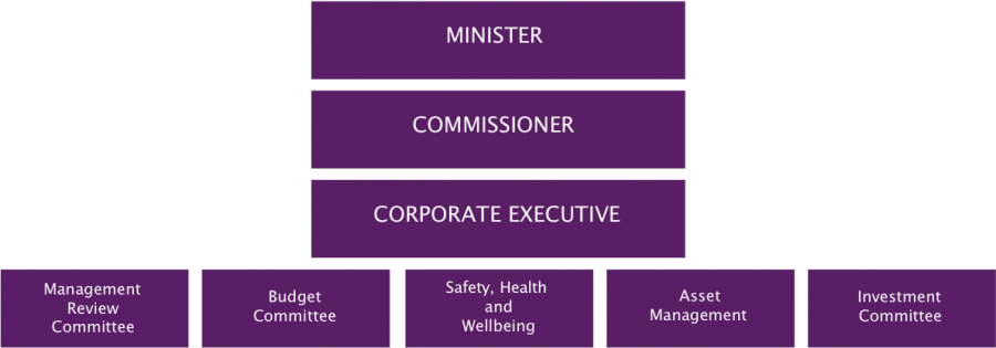 Our Governance Model